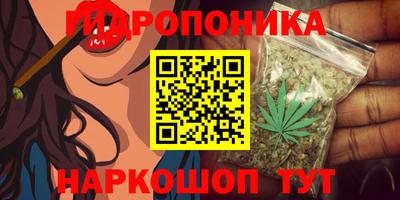 ECSTASY Уссурийск