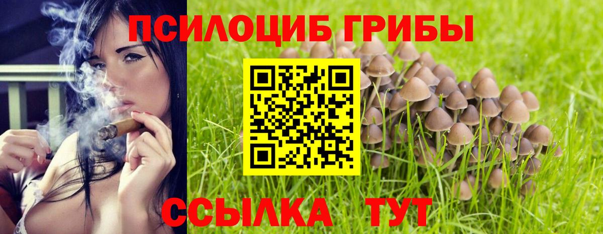 Псилоцибиновые грибы Psilocybe Большой Камень